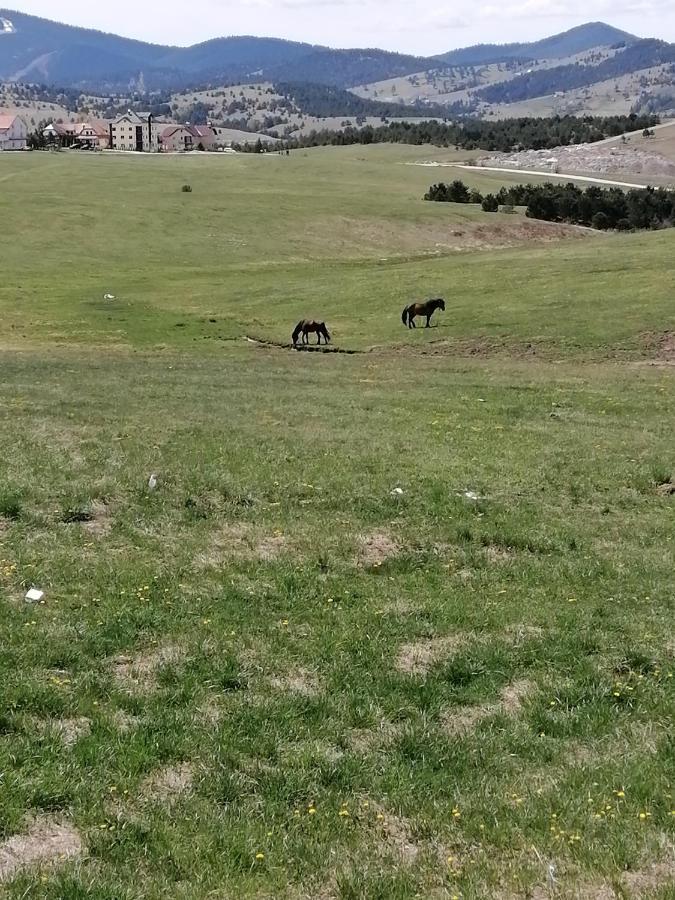 Apartman Selakovic Zlatibor Zewnętrze zdjęcie
