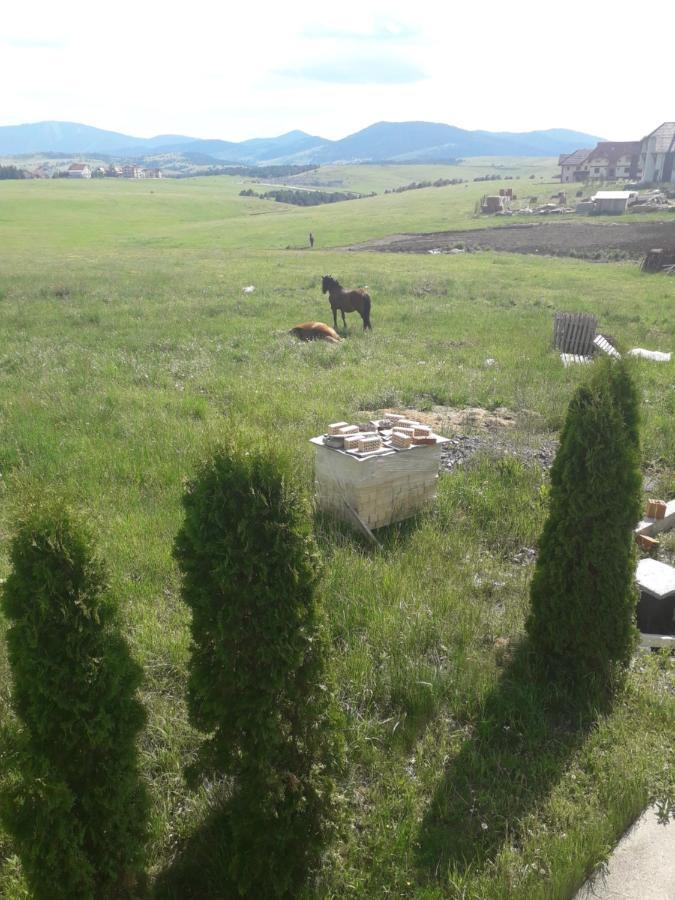 Apartman Selakovic Zlatibor Zewnętrze zdjęcie